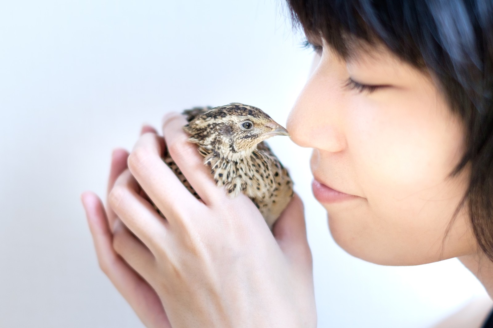 出エジプトのモーセと不思議な食べ物 2つ~アラビア語で読んでみようシリーズ